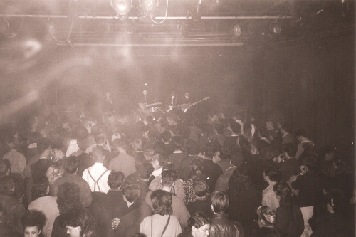 tumblr_m2s8509VkU1rpvebro1_500